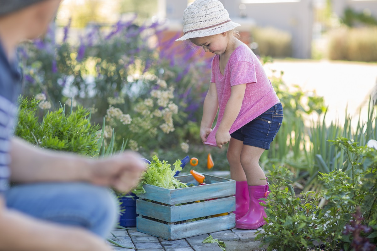 jardin-potager-cour-ecole-amenagement